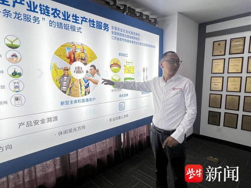 數智養豬場 AI管家全天候守護，教育咨詢開啟智能養殖新篇章